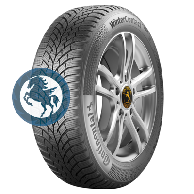 ���������� ������ h0393754. Continental WinterContact TS 870 P 255/40 R21 102T ����� 