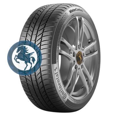   h0403562. Continental WinterContact TS 870 P 255/40 R21 102V  