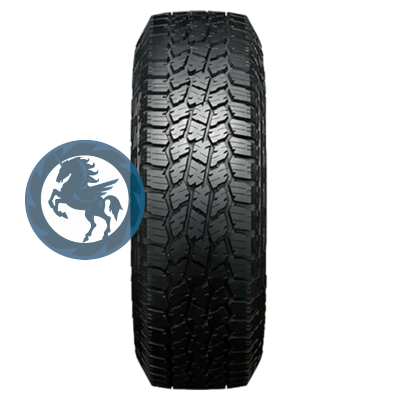 ���������� ������ h0406009. Yokohama Geolandar A/T4 G018 245/75 R17 121/118S  